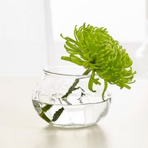 이케아 VILJESTARK 유리꽃병 화병 조화 생화 말린꽃 화분 조화 다육이 선인장 철제 양동이 바스켓 가드닝 원예 실내 홈가든
