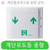계단통로유도등 중형 벽부형 소방 LED 피난 좌상우하