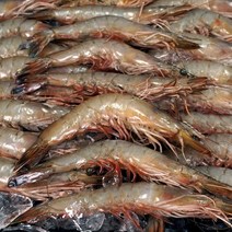 국내산 제철 대하 1kg 급냉 (24-29미), 1개