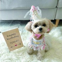 [이거찜]반려견 반려묘 생일파티 고깔모자 케이프 세트, 반려동물 생일파티 고깔 케이프 세트 핑크_M