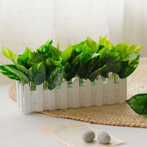 그린리프 스킨 아이비 울타리화분 [2type], 스킨답서스, 1개