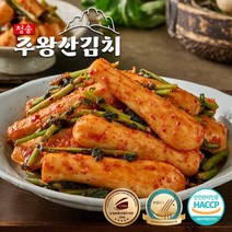 청송주왕산김치 아삭한 총각김치, 5kg