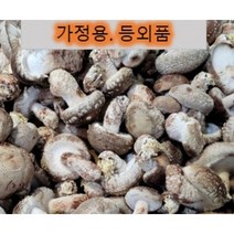 송화버섯 파지 등외품 1kg 파격행사 파지 아이스포장 가정용 부담없는 가격.캠핑 바베큐.젊은농부, 1개
