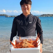 [선주직판] 제철 홍게 대게 자숙 3kg 수율보장 사나이수산 금어기~9/11, 02_일반홍게 3kg 10~13마리, 1개
