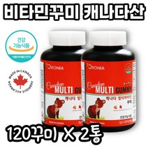 캐나다산 고함량 멀티비타민 120꾸미 X 2박스 씹어먹는 비타민 B12영양제 고농축 비타민B 하루영양제 자연유래 비타민 비군 멀티 영양제 세트 하루 비타민 B군 영양제 미량 미네랄