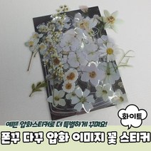 레트로 감성 꽃 압화이미지 폰꾸 다꾸 스티커 화이트