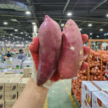 영암 황토 고구마 햇고구마 2kg 4kg 8kg 1box, 특상