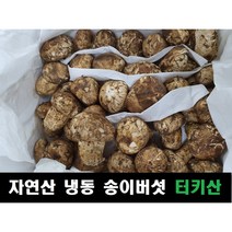 [야생버섯] 국내산 100% 최상품 장수 상황버섯 절편 차 먹는 법 2~3개월분 250g 식이섬유 무기질 베타글루칸 폴리페놀, 1개 x 250g