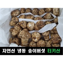 냉동 양파 슬라이스 1kg 2팩, 냉동양파 슬라이스 1kg 2팩