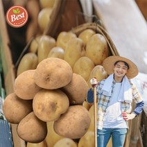산지직송 강원도감자 강원도 두백감자 5kg 분감자 상 왕특 혼합 사이즈 햇감자 5키로 카스테라감자 포슬포슬감자 한박스 분질감자 쪄먹는 분나는 감자 홍천, 10kg, 1개