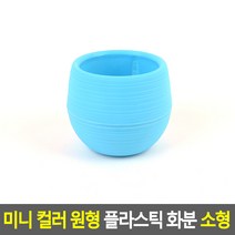 미니 분리 플라스틱 컬러 화분 소형 어린이집 화단 꾸미기 체험 교구 다육이 8x6.5cm 소 블루