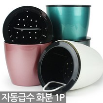 자동급수 원형 칼라 화분 1P - 중형화분 인테리어화분 예쁜화분 식물 둥근화분 저면관수화분 다육이 선인장 공기정화식물, 04_Sein_자동급수(H6)_화이트