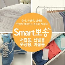 스마트뽀송 천연 실리카겔 제습제 4세트 4종중 택1, 옷장용(2p) 4개, 옵션선택