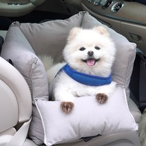 패리스독 반려동물 쁘띠 꿀잠 카시트, 그레이, 1개
