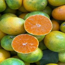 탐라인 제주 극조생 노지감귤 밀감 로얄과 10kg내외 가정용, 1box, 10kg