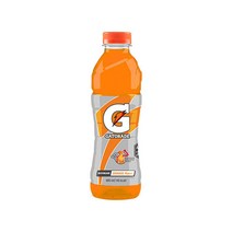 게토레이 이온음료 오렌지 600ml x 24펫 음료수
