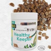 강아지 유산균 장 영양제 250g 애견 반려견 소화, 단일제품