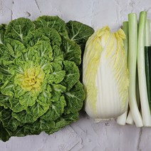진도 봄동 쌈배추 대파 건강밥상 산지 싱싱함을 산지직배송, 대파 2kg