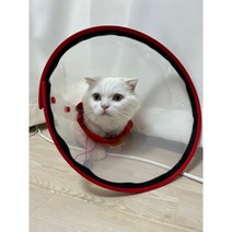 세이프비 산소 넥카라 네블라이저 강아지 고양이 다용도 다목적 산소방