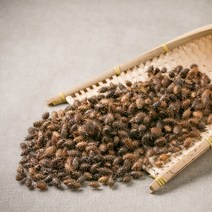 봉래 국산 도꼬마리(창이자) 300g/도꼬마리열매/창이자열매/독고마리 식품 > 건강식품 전통건강식품 기타전통건강식품/한방재료, 1, 300g, 300g” class=”wr-img”></a></div></div></div></div><div class=