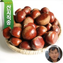 [산지직송]GAP인증 충남 부여 달하산농장 알밤, 대밤4kg