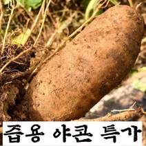 구씨아줌마 국내산 경북봉화 2022 햇 야콘 햇야콘 생야콘 특상품 즙용 1kg 3kg 5kg 10kg, 즙용 야콘(랜덤 사이즈)
