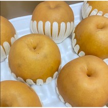 프리미엄 나주 배, 특품, 15kg (16-20과)