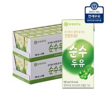 연세 순수두유 190ml x 48입연세우유 48입 175996, 연세 순수두유 190ml x 48입, 48입