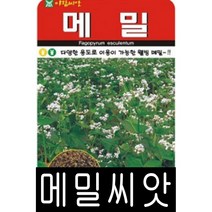 [워터트리몰] 메밀씨앗(30g) 채소 꽃 종자 재배 씨앗 허브 나무 (A)