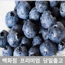 블루베리 100g 과일 제철과일 크랜베리 블루베리효능, 1, 본상품선택