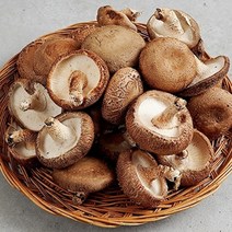 지투지샵 무농약 생표고버섯 중품 2kg, 없음, 1개