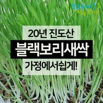 안토시아닌 up 새싹보리씨앗 블랙보리 1kg 가정에서재배 키우기 진도장모와 서울큰사위, 1개, 1kg (진도산)
