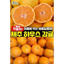 제주 하우스 감귤, 1팩 500g
