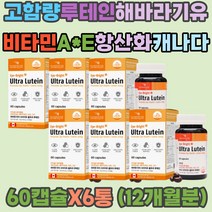 비타민A E 매리골드 꽃 해바라기유 눈건강 류태인 아연 구리 눈흐림 눈이뿌옇게보여요 눈건조 눈시림 눈이물감 눈이침침 눈깜박임 베타카로틴 면역기능 항산화 캐나다 직수입 아이브라이트 최대함량 루테인 선물
