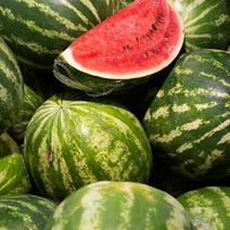 무등산수박 씨없는수박 설탕수박 4KG 블랙망고수박 망고수박 특급 겨울수박 수박 애플수박 고씨네 노란수박, 3kg