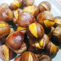 [맛나약단밤] 2022년 햇밤 칼집 약단밤 생율밤 국내산밤 