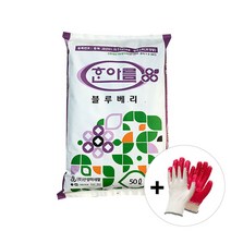 자재1번가 블루베리 전용 상토 흙 50L + 목장갑 피트모스 블루베리 분갈이 한아름, 1개