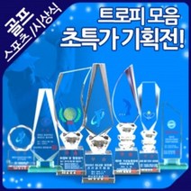 크리스탈트로피 모음, 15-16-01대