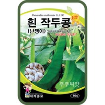흰 작두콩 10립 작두콩씨앗 작두콩종자 비넝쿨성 콩재배 콩심기, 단품
