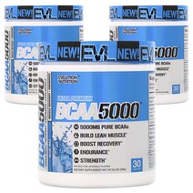 EVLUTIONNUTRITION BCAA 5000mg, 240g, 3개