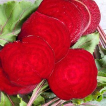 2023년 국내산 무농약 레드비트 (200~800g) 3kg, 단품