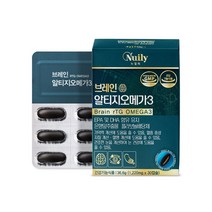 뉴일리 징코 브레인 알티지오메가3 1박스 알티지오메가3 은행잎추출물 노르웨이산 정제어유 홍삼농축분말 대두레시틴 기억력개산 혈행개선 눈건강, 30캡슐