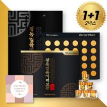 광동제약 건강 기력환 (쇼핑백+카드 포함 세트) 30환 60환 부모님 선물세트, 2세트, 30정