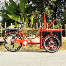 팻전기자전거 전기 페달 보조 골프 카트 소형 화물 자전거 성인 애완동물 개 세발 EU 표준 25 kmh 250W, 1.Pedal type CFR