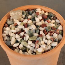 신포상점 오색자갈3kg 마사토 배양토 원예돌 화분 어항 분갈이 색깔돌, 오색자갈 3kg+마사토 2kg+배양토 1.2L(2개)