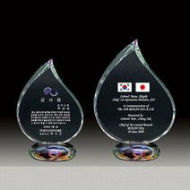 공로패 퇴직패 공로패 상패 위촉패 표창패, 단품