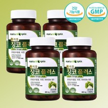 트리플 징코 플러스 8개월분 은행잎 추출물 아연 비타민B6 혈행개선 기억력개선, 단품, 단품