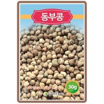 동부콩씨앗 30g 텃밭작물 가정원예 식물기르기 주말농장 곡물종자