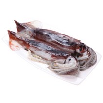 동해안 선동오징어 8kg, 1개