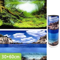 백스크린 양면 30X60cm 수족관배경 어항배경 C606130